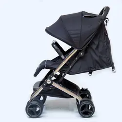 قیمت و خرید کالسکه مینی پرو دلیجان مشکی بدنه طلایی - سیسمونی آقابزرگ