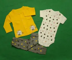 سه تیکه زنبور گل ایران