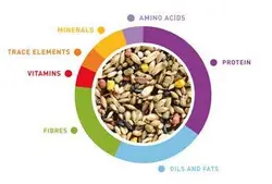 غذای سوپرپریمیوم قناری پادوان کد 6710 - حیوان کالا