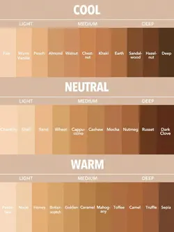 کرم پودر مات و بادوام شیگلم مدل COMPLEXION PRO رنگ WARM VANILLA | رز سفید