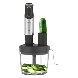گوشت کوب برقی مولینکس مدل DD65J827