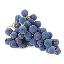 خرید نهال انگور ریش بابا قرمز