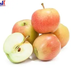 خرید نهال سیب گلاب (پایه رویشی)