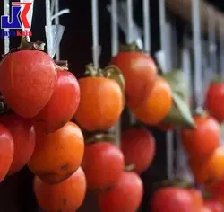 خرید نهال خرمالو هاسیا - جایا کالا | نهال خرمالو | نهال اصلاح شده | قیمت نهال | خرمالو جایا نهال