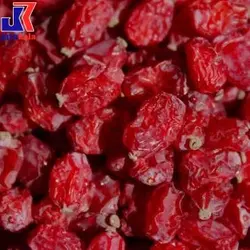 خرید نهال زرشک دانه اناری - جایا کالا | خرید نهال | زرشک دانه اناری | قیمت نهال زرشک | نهال