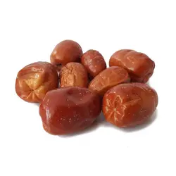 خرید نهال سنجد دروار | خرید نهال | قیمت نهال | قیمت نهال گردو | قیمت نهال سنجد | نهالستان