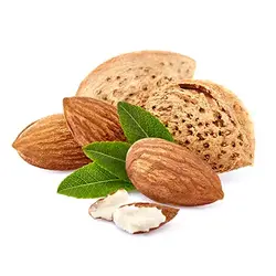 خرید نهال بادام شکوفه - جایا کالا | خرید نهال | خرید نهال بادام | بادام دیرگل | درخت بادام