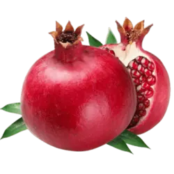 خرید نهال انار خفر شیراز - جایا کالا | خرید نهال اصلاح شده | قیمت نهال , نهال گردو خوشه ای