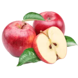 خرید نهال سیب گلاب کهنز - جایا کالا | خرید نهال سیب | خرید نهال گردو | خرید نهال بادام | جایا