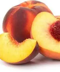 خرید نهال هلو خوشه ای جایا - جایا کالا | خرید نهال | خرید نهال هلو | نهال هلو | نهال گردو