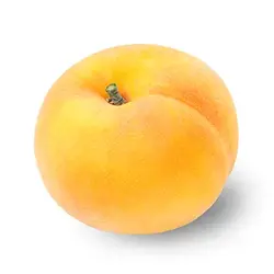 خرید نهال هلو زرد - جایا کالا | خرید نهال | هلو زرد | نهال گردو | خرید نهال هلو زرد | نهال گردو