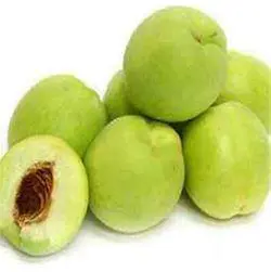 خرید نهال هلو سبز - جایا کالا | خرید نهال | نهال هلو | خرید نهال گردو | خرید نهال بدام | گردوجایا