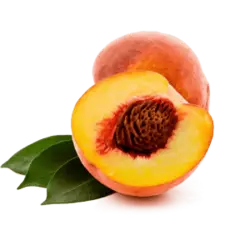 خرید نهال هلو فریاستون | خرید نهال | نهال هلو | نهالستان | نهال گردو | نهال بادام | هلو جایا