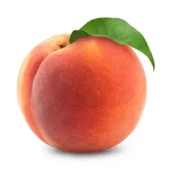 خرید نهال هلو کاظمی - جایا کالا