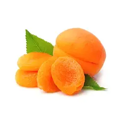 نهال زردآلو شصتی - جایا کالا