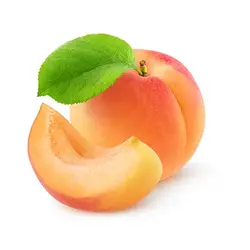 نهال زردآلو تخم مرغی - جایا کالا