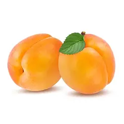 خرید نهال زردآلو سلطنتی - جایا کالا