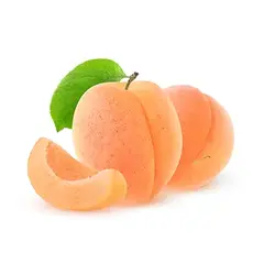 نهال زردآلو نخجوان - جایا کالا