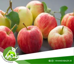 نهال  سیب گلاب