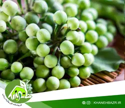 بذر بادمجان تایلند نخودی