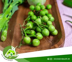 بذر بادمجان تایلند نخودی