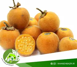 بذر بادمجان ترش پرزدار