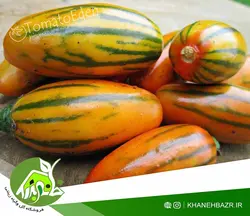 بذر بادمجان توگا