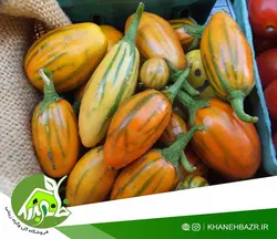 بذر بادمجان توگا