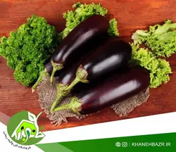 بذر بادمجان فلوریدا