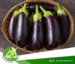 بذر بادمجان فلوریدا