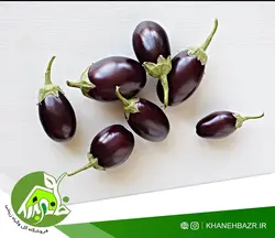 بذر بیبی بادمجان