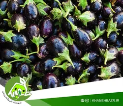 بذر بیبی بادمجان