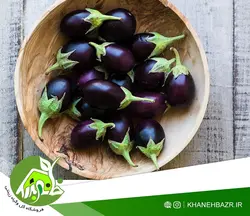 بذر بیبی بادمجان