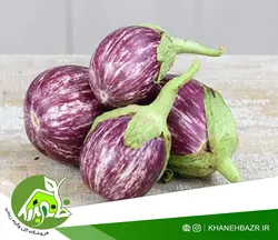 بذر بادمجان کالیوپ هلندی