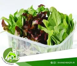 بذر بیبی کاهو میکس سبز و قرمز