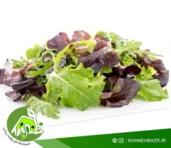 بذر بیبی کاهو میکس سبز و قرمز