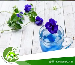 بذر پیچک لبلب