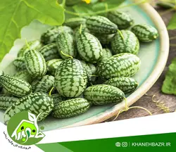 بذر خیار مکزیکی