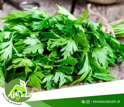 بذر سبزی جعفری