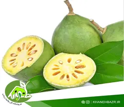 بذر سیب چوبی یا بائل فروت