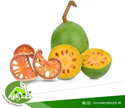 بذر سیب چوبی یا بائل فروت