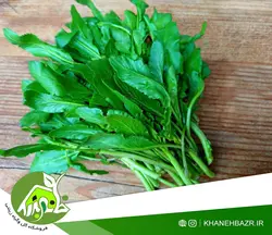 بذر سبزی شاهی