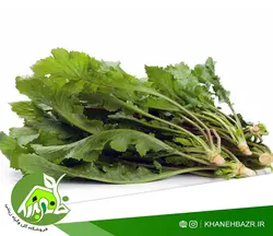 بذر سبزی شاهی