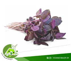 بذر سبزی ریحان بنفش