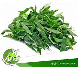 بذر سبزی مرزه