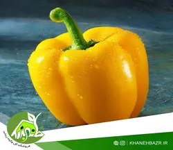 بذر فلفل دلمه زرد قناری