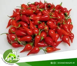 بذر فلفل بیکیونهو