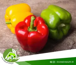 بذر فلفل دلمه رنگی