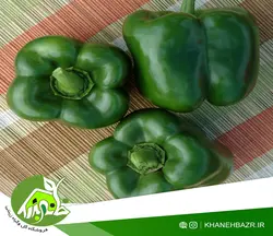 بذر فلفل دلمه سبز