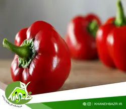 بذر فلفل دلمه قرمز